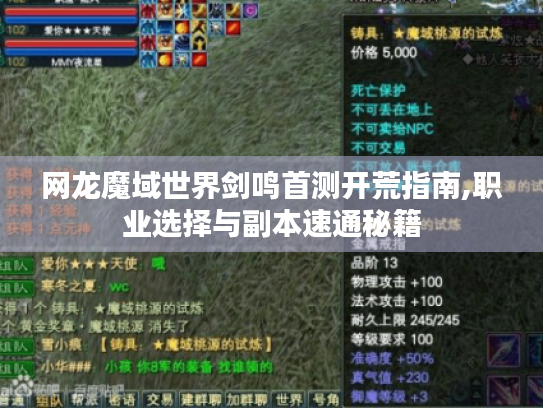 网龙魔域世界剑鸣首测开荒指南,职业选择与副本速通秘籍 网龙魔域世界剑鸣首测开荒指南,职业选择与副本速通秘籍