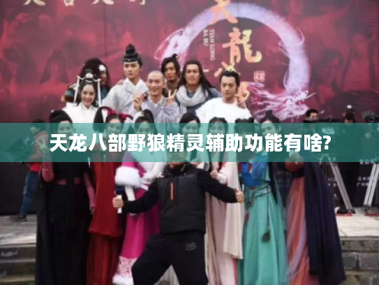 天龙八部野狼精灵辅助功能有啥? 天龙八部野狼精灵辅助功能有啥?