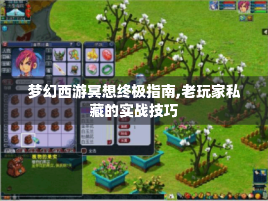 梦幻西游冥想终极指南,老玩家私藏的实战技巧 梦幻西游冥想终极指南,老玩家私藏的实战技巧