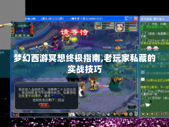 梦幻西游冥想终极指南,老玩家私藏的实战技巧 梦幻西游冥想终极指南,老玩家私藏的实战技巧