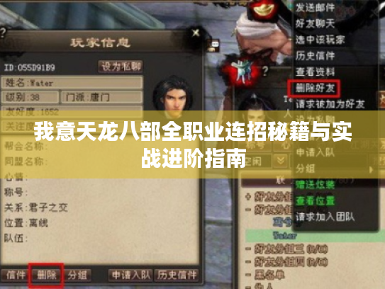 我意天龙八部全职业连招秘籍与实战进阶指南