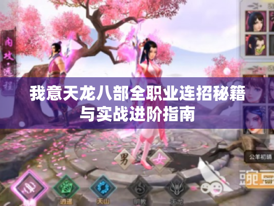 我意天龙八部全职业连招秘籍与实战进阶指南