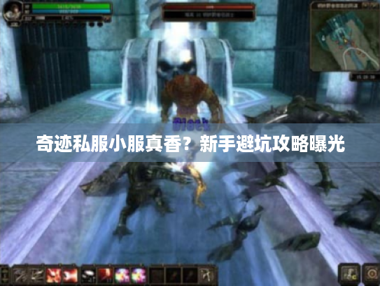 奇迹私服小服真香?新手避坑攻略曝光 奇迹私服小服真香?新手避坑攻略曝光