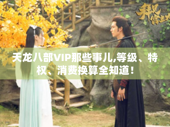 天龙八部VIP那些事儿,等级、特权、消费换算全知道！