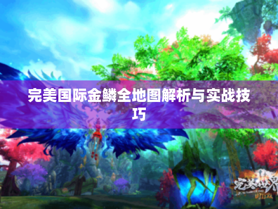 完美国际金鳞全地图解析与实战技巧 完美国际金鳞全地图解析与实战技巧