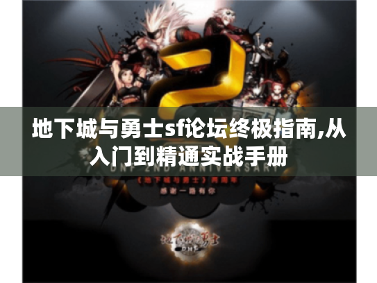 地下城与勇士sf论坛终极指南,从入门到精通实战手册 地下城与勇士sf论坛终极指南,从入门到精通实战手册