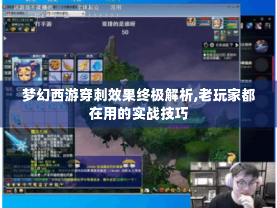 梦幻西游穿刺效果终极解析,老玩家都在用的实战技巧 梦幻西游穿刺效果终极解析,老玩家都在用的实战技巧
