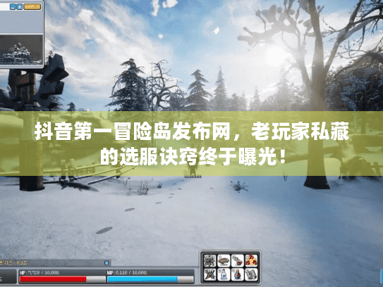 抖音第一冒险岛发布网,老玩家私藏的选服诀窍终于曝光! 抖音第一冒险岛发布网,老玩家私藏的选服诀窍终于曝光!