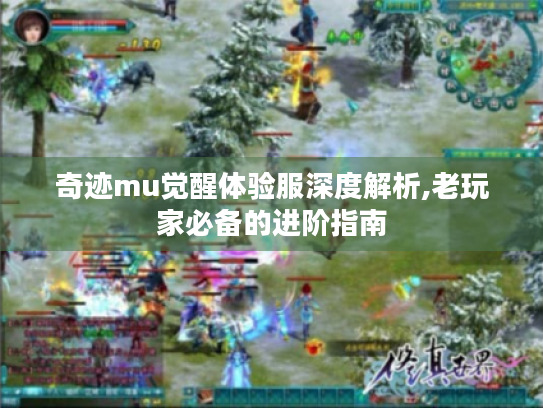 奇迹mu觉醒体验服深度解析,老玩家必备的进阶指南
