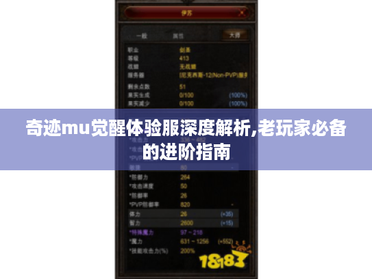 奇迹mu觉醒体验服深度解析,老玩家必备的进阶指南