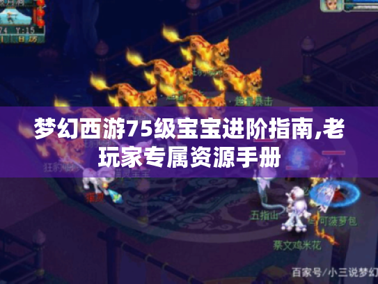 梦幻西游75级宝宝进阶指南,老玩家专属资源手册 梦幻西游75级宝宝进阶指南,老玩家专属资源手册