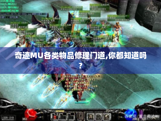 奇迹MU各类物品修理门道,你都知道吗? 奇迹MU各类物品修理门道,你都知道吗?