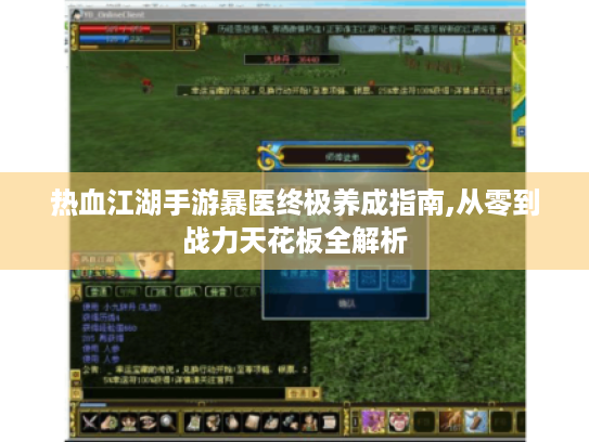 热血江湖手游暴医终极养成指南,从零到战力天花板全解析 热血江湖手游暴医终极养成指南,从零到战力天花板全解析