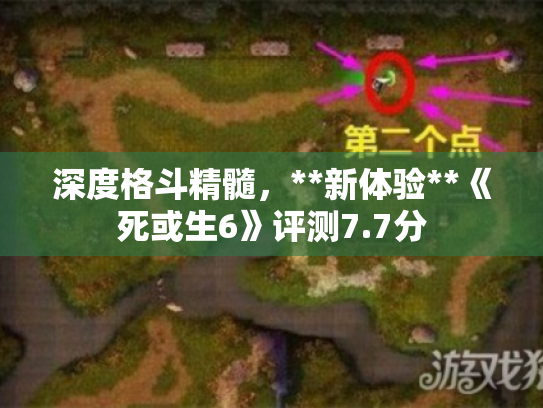 深度格斗精髓,**新体验**《死或生6》评测7.7分 深度格斗精髓,**新体验**《死或生6》评测7.7分