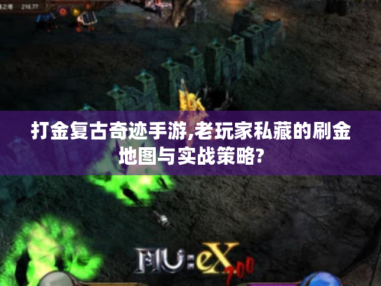 打金复古奇迹手游,老玩家私藏的刷金地图与实战策略? 打金复古奇迹手游,老玩家私藏的刷金地图与实战策略?