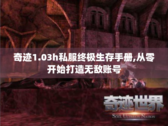 奇迹1.03h私服终极生存手册,从零开始打造无敌账号 奇迹1.03h私服终极生存手册,从零开始打造无敌账号