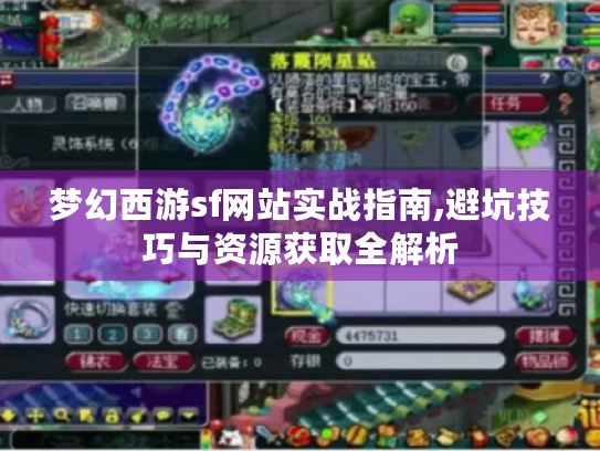 梦幻西游sf网站实战指南,避坑技巧与资源获取全解析 梦幻西游sf网站实战指南,避坑技巧与资源获取全解析
