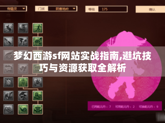 梦幻西游sf网站实战指南,避坑技巧与资源获取全解析 梦幻西游sf网站实战指南,避坑技巧与资源获取全解析