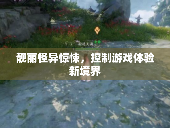 靓丽怪异惊悚，控制游戏体验新境界