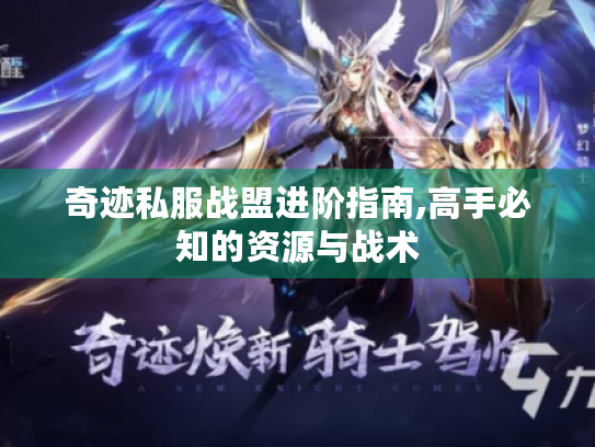 奇迹私服战盟进阶指南,高手必知的资源与战术 奇迹私服战盟进阶指南,高手必知的资源与战术
