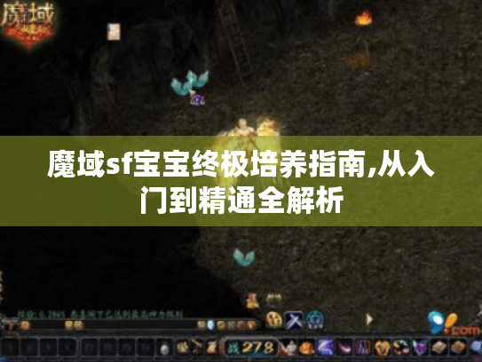 魔域sf宝宝终极培养指南,从入门到精通全解析 魔域sf宝宝终极培养指南,从入门到精通全解析