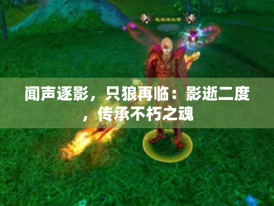 闻声逐影,只狼再临:影逝二度,传承不朽之魂 闻声逐影,只狼再临:影逝二度,传承不朽之魂