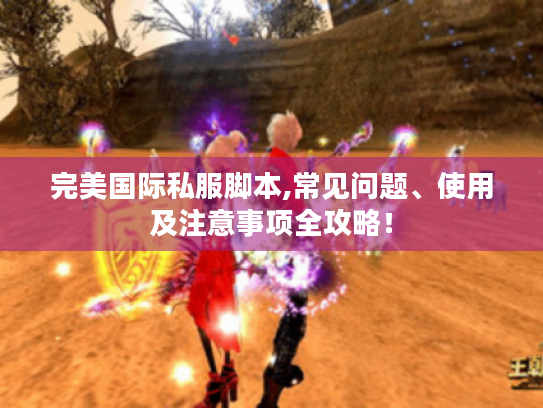 完美国际私服脚本,常见问题、使用及注意事项全攻略！