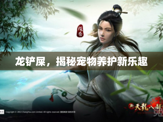 龙铲屎,揭秘宠物养护新乐趣 龙铲屎,揭秘宠物养护新乐趣