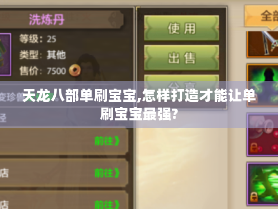 天龙八部单刷宝宝,怎样打造才能让单刷宝宝最强? 天龙八部单刷宝宝,怎样打造才能让单刷宝宝最强?