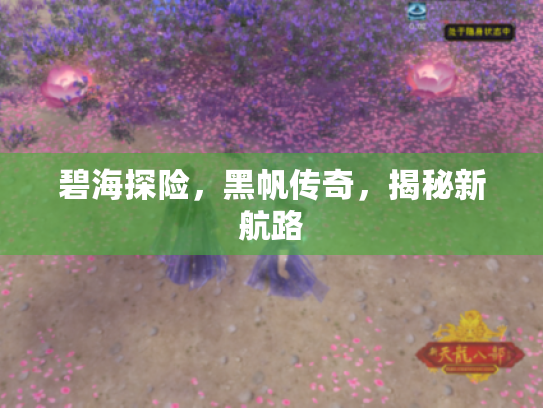 碧海探险,黑帆传奇,揭秘新航路 碧海探险,黑帆传奇,揭秘新航路