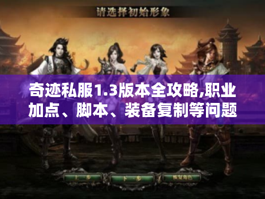 奇迹私服1.3版本全攻略,职业加点、脚本、装备复制等问题解答! 奇迹私服1.3版本全攻略,职业加点、脚本、装备复制等问题解答!