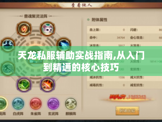 天龙私服辅助实战指南,从入门到精通的核心技巧 天龙私服辅助实战指南,从入门到精通的核心技巧