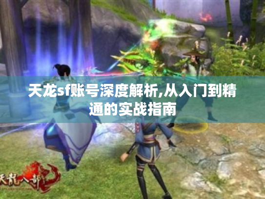 天龙sf账号深度解析,从入门到精通的实战指南 天龙sf账号深度解析,从入门到精通的实战指南