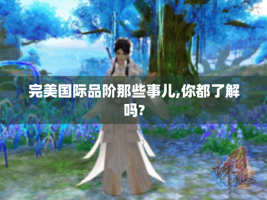 完美国际品阶那些事儿,你都了解吗? 完美国际品阶那些事儿,你都了解吗?