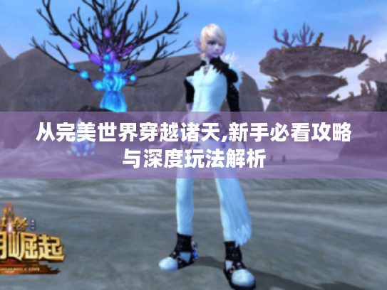 从完美世界穿越诸天,新手必看攻略与深度玩法解析 从完美世界穿越诸天,新手必看攻略与深度玩法解析