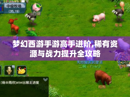 梦幻西游手游高手进阶,稀有资源与战力提升全攻略 梦幻西游手游高手进阶,稀有资源与战力提升全攻略