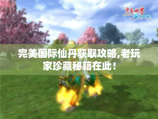 完美国际仙丹获取攻略,老玩家珍藏秘籍在此! 完美国际仙丹获取攻略,老玩家珍藏秘籍在此!