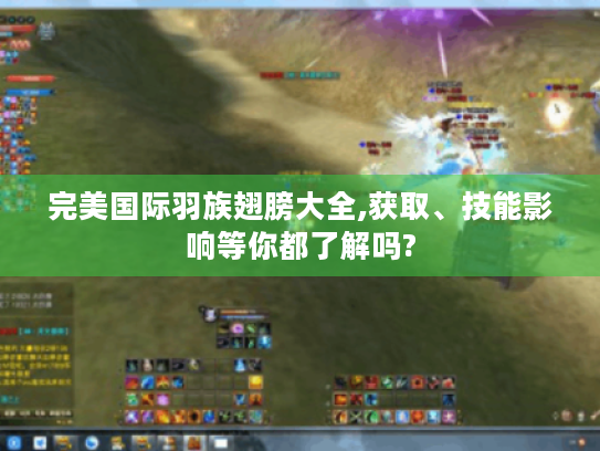 完美国际羽族翅膀大全,获取、技能影响等你都了解吗? 完美国际羽族翅膀大全,获取、技能影响等你都了解吗?