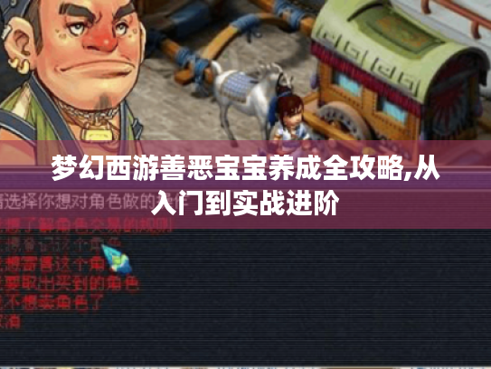 梦幻西游善恶宝宝养成全攻略,从入门到实战进阶 梦幻西游善恶宝宝养成全攻略,从入门到实战进阶