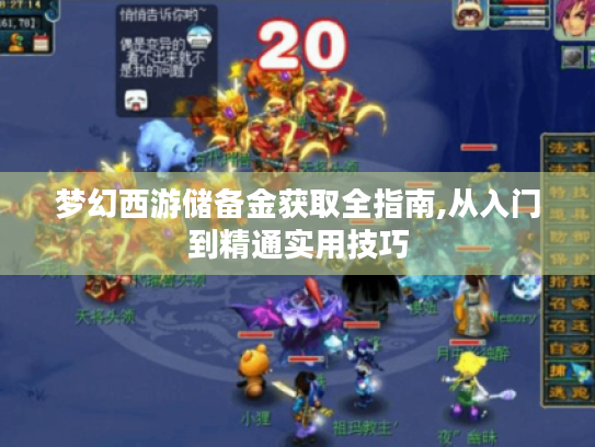 梦幻西游储备金获取全指南,从入门到精通实用技巧