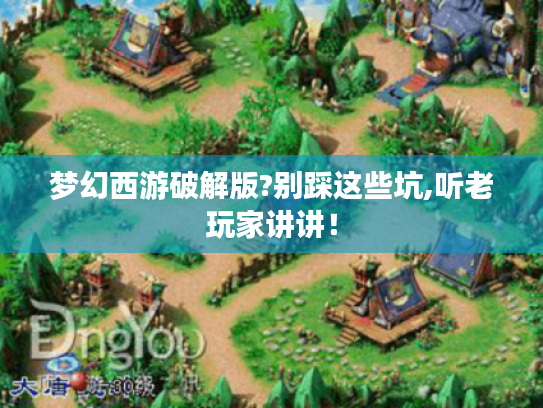 梦幻西游破解版?别踩这些坑,听老玩家讲讲! 梦幻西游破解版?别踩这些坑,听老玩家讲讲!