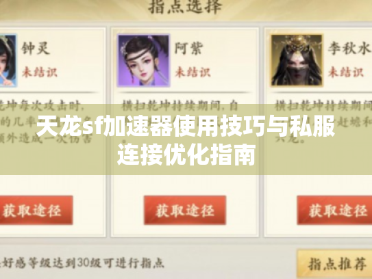 天龙sf加速器使用技巧与私服连接优化指南 天龙sf加速器使用技巧与私服连接优化指南