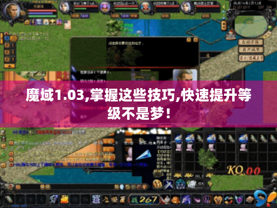 魔域1.03,掌握这些技巧,快速提升等级不是梦! 魔域1.03,掌握这些技巧,快速提升等级不是梦!