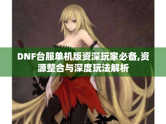 DNF台服单机版资深玩家必备,资源整合与深度玩法解析 DNF台服单机版资深玩家必备,资源整合与深度玩法解析