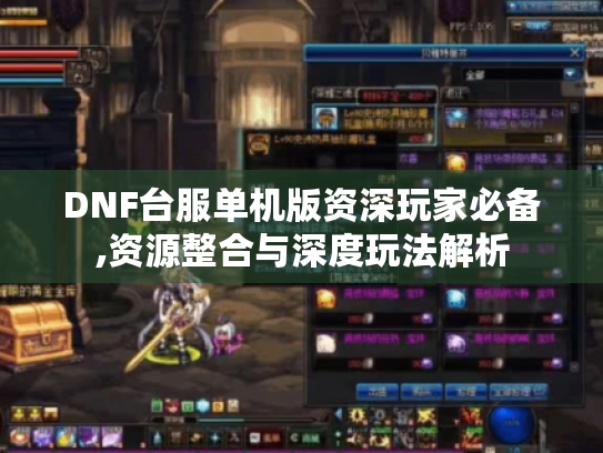 DNF台服单机版资深玩家必备,资源整合与深度玩法解析 DNF台服单机版资深玩家必备,资源整合与深度玩法解析