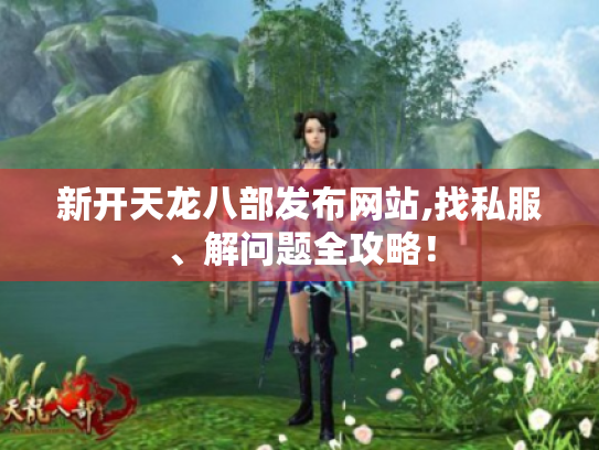新开天龙八部发布网站,找私服、解问题全攻略！