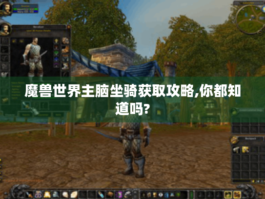 魔兽世界主脑坐骑获取攻略,你都知道吗? 魔兽世界主脑坐骑获取攻略,你都知道吗?