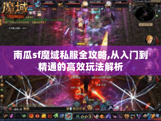 南瓜sf魔域私服全攻略,从入门到精通的高效玩法解析 南瓜sf魔域私服全攻略,从入门到精通的高效玩法解析