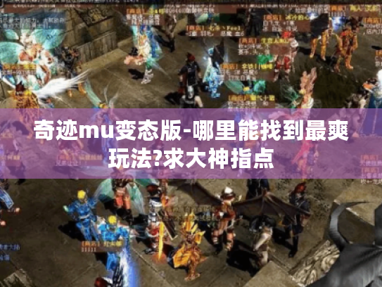 奇迹mu变态版-哪里能找到最爽玩法?求大神指点 奇迹mu变态版-哪里能找到最爽玩法?求大神指点
