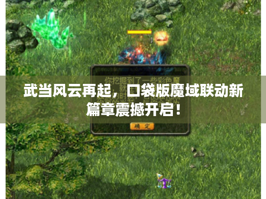 武当风云再起,口袋版魔域联动新篇章震撼开启! 武当风云再起,口袋版魔域联动新篇章震撼开启!